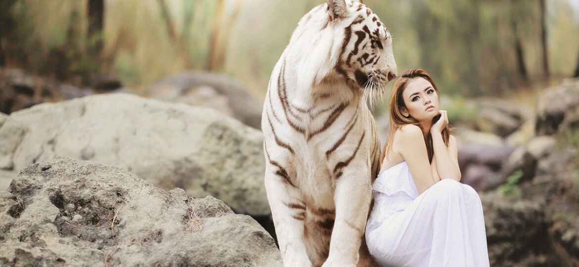 protector